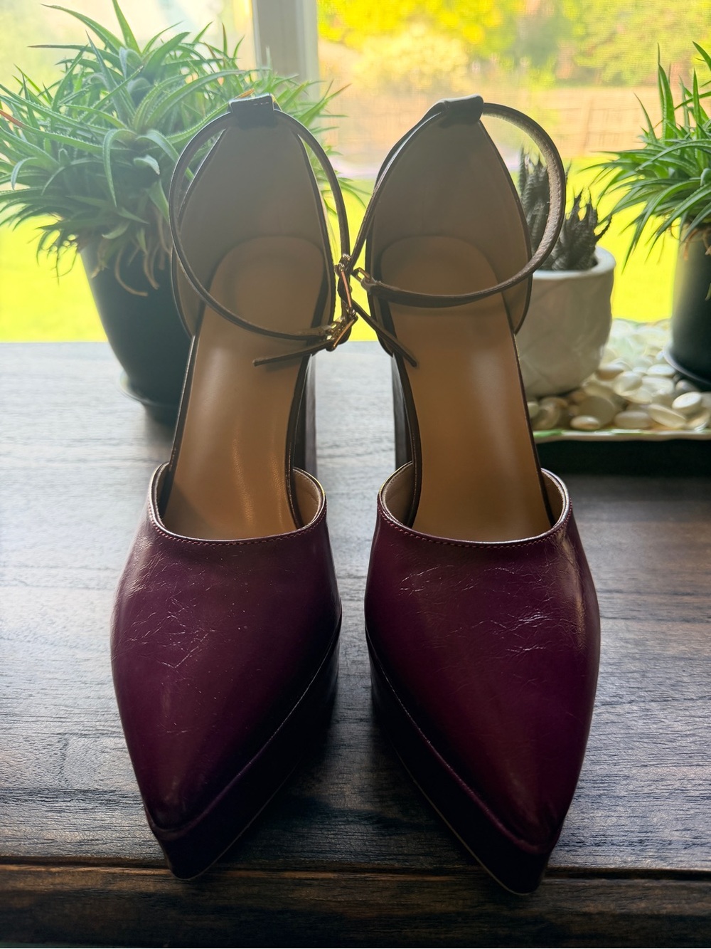 Elegant Women's Pointed Toe Ankle-Strap Platform Pumps in Deep Plum